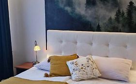 Apartament11 Brzozowa 5minut Krupówki, garaż